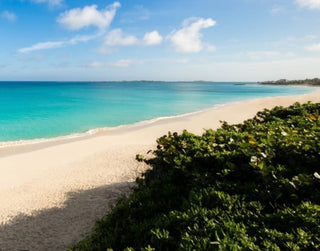 Lime On! Love Beach Bahamas: Indulge in Island Vibes