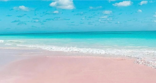 Lime On! Pink Sands Beach: A Caribbean State of Mind